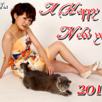 A Happy New Year 2014-kimono dress